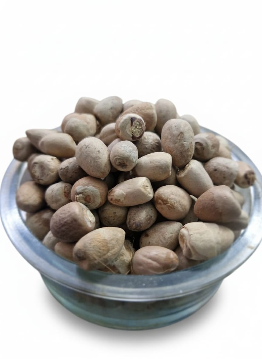 श्री भगवती -- शुद्ध एवं चयनित साबुत सुपारी 51 पीस